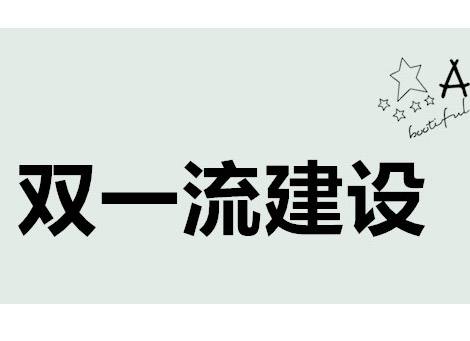 双一流建设：优先发展少数实力较强高校和学科