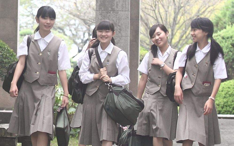 如何从高校自主招生简章中获取重要信息？ 