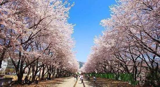 选大学，只知道985双一流还不够，这些大学标签你知道吗？ 