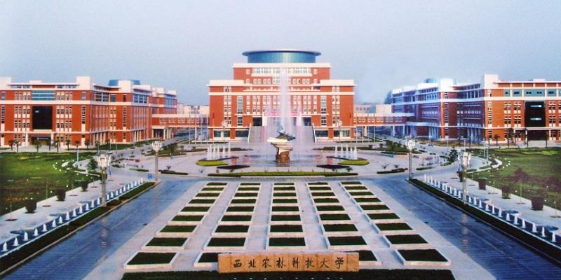西北农林科技大学：如何创建世界一流农业大学