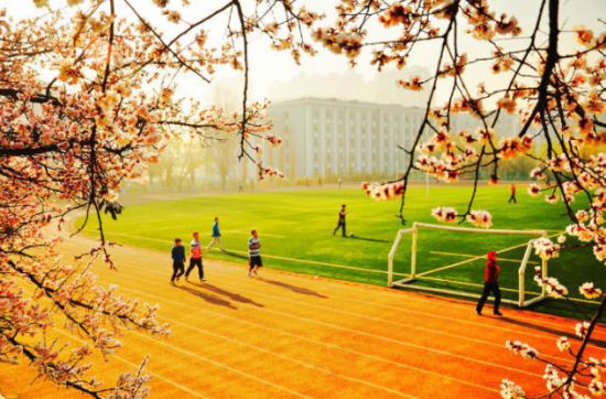 江苏：2018年综合评价录取改革考核方式
